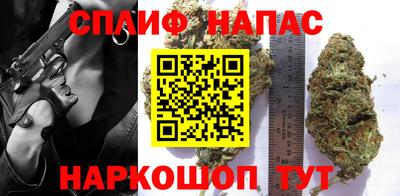 спиды Новодвинск