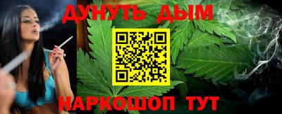 скорость Новозыбков