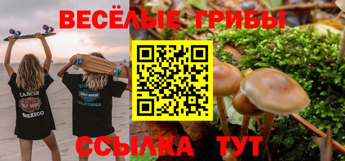 Галлюциногенные грибы мицелий Семилуки