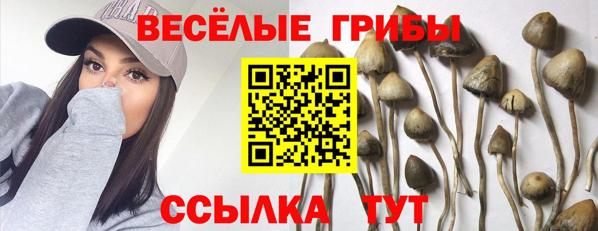 Галлюциногенные грибы ЛСД  Вход с VPN  Семилуки 